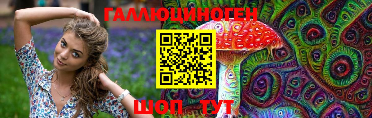 Шадринск  Галлюциногенные грибы мухоморы  Галлюциногенные грибы Psilocybe  Вход с VPN 