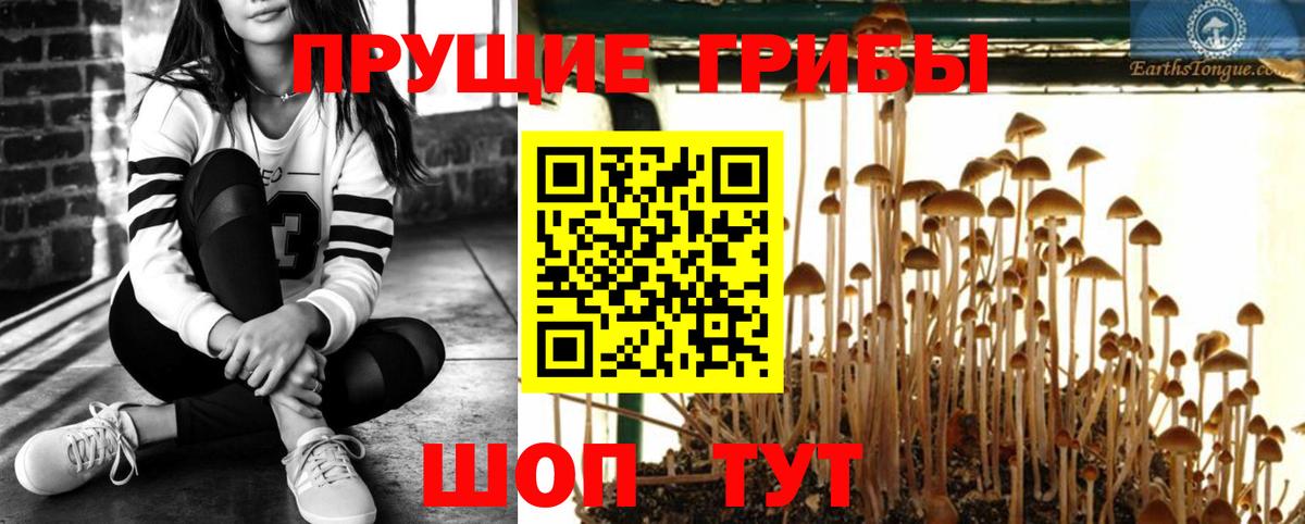 Псилоцибиновые грибы мухоморы Шадринск